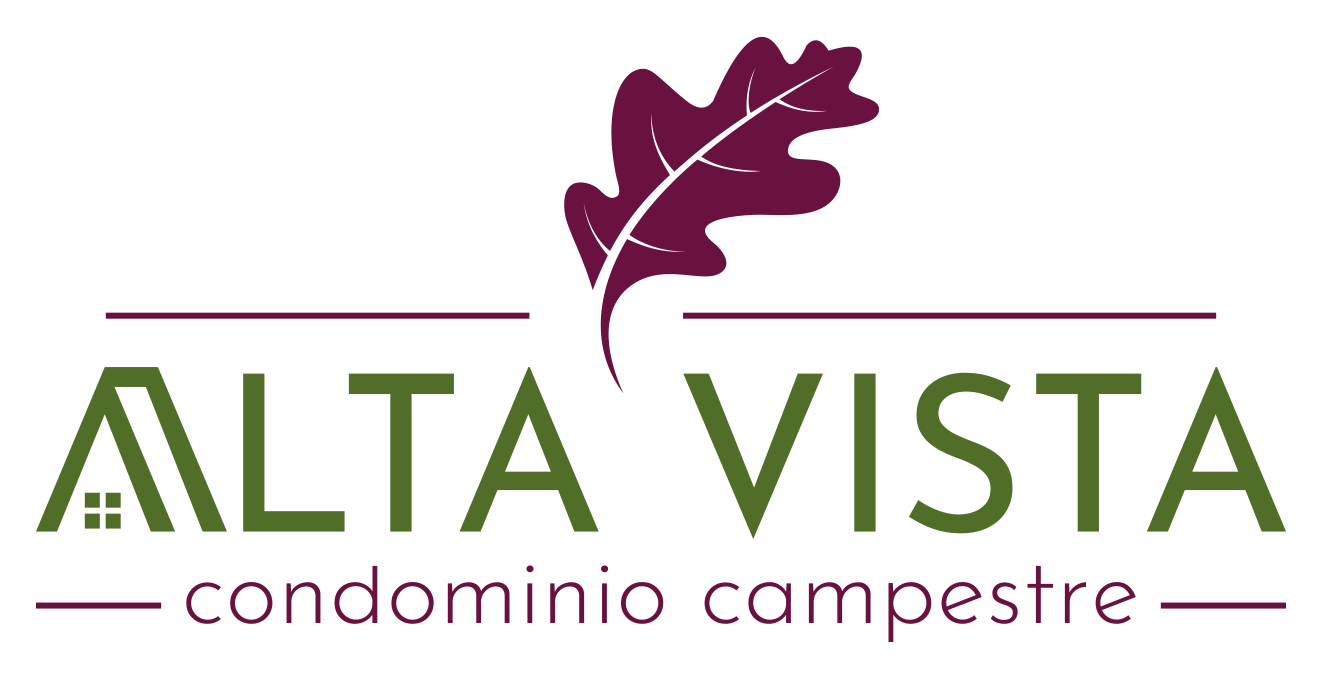 Alta Vista